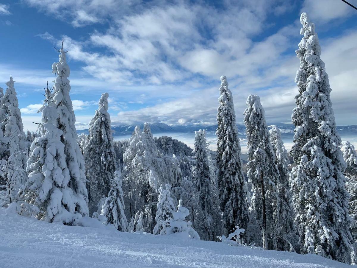 Silver Mountain Пояна-Брашов Екстер'єр фото