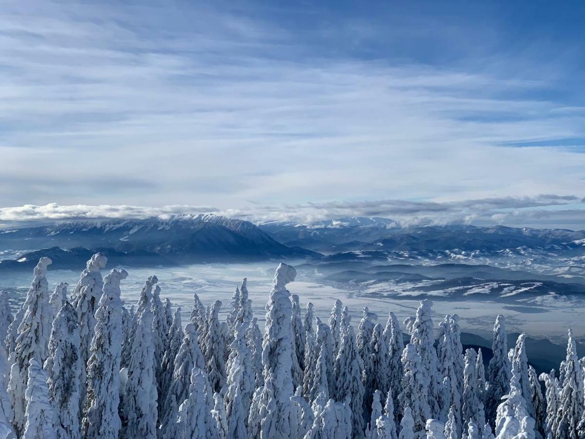 Silver Mountain Пояна-Брашов Екстер'єр фото
