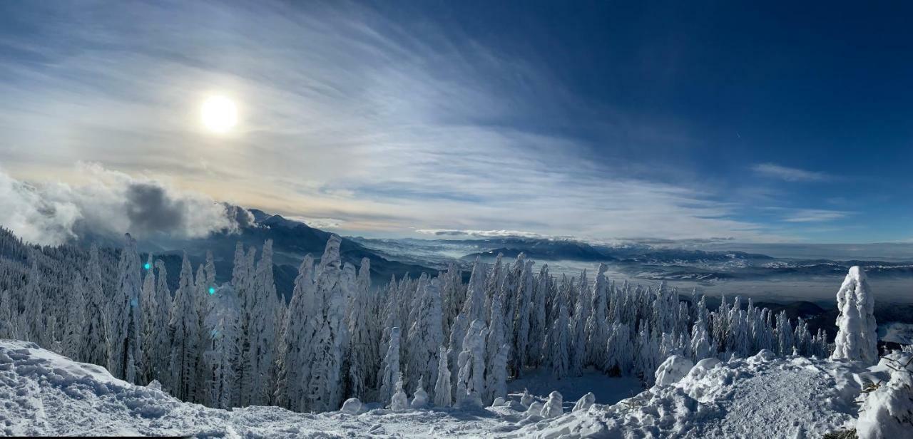 Silver Mountain Пояна-Брашов Екстер'єр фото